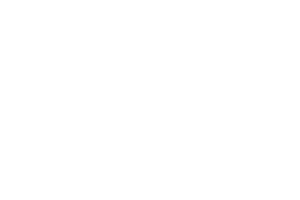 LOGO-LIONESS1