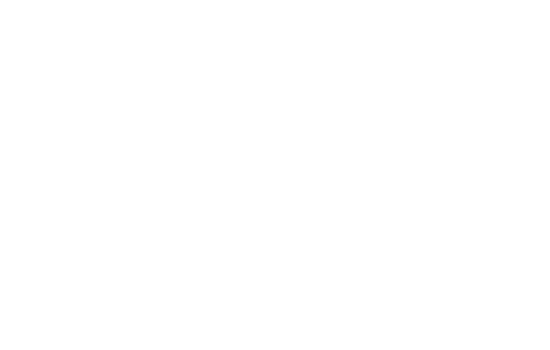 Lioness Photography